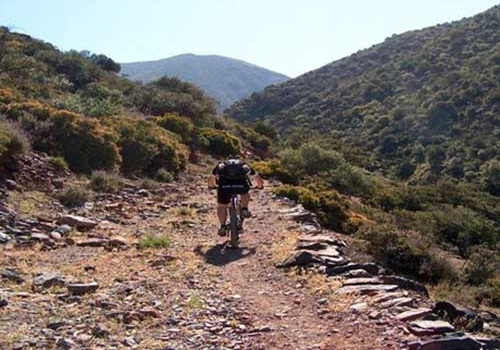 Excursions d'une journée au départ de Marrakech